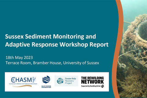 image_sussex-sediment-monitoring-and-adaptive-response-workshop-report-2023_final[100].jpg
