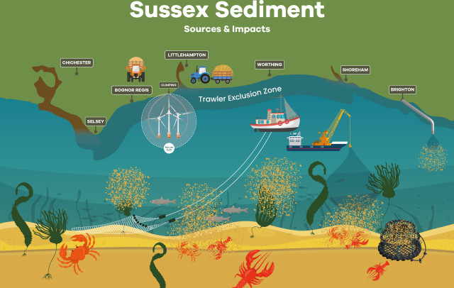 5179-blue-marine-sussex-kelp-sediment-infographic_graphic-only_v4[68]-1679383875.jpg